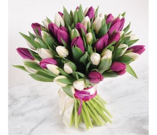 Heavenly Purple and White Blooms