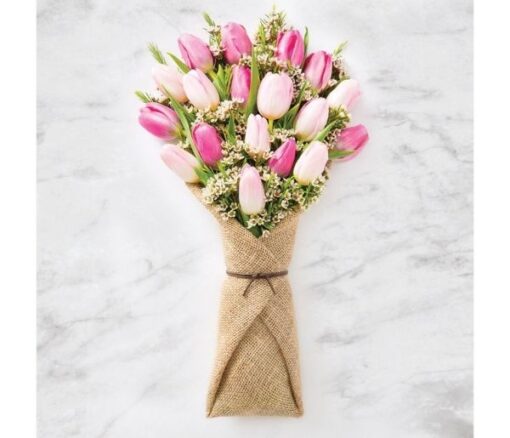 Tulips in Pink