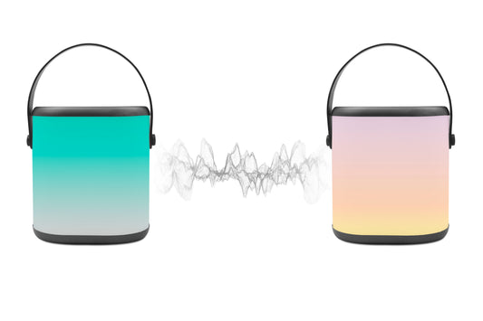 Wireless Speaker with handle