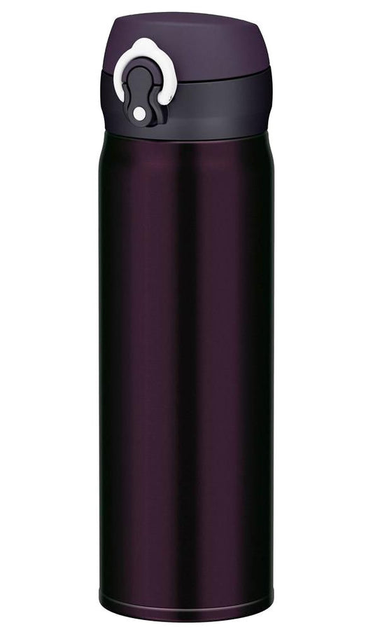 Stainless Steel Water Bottles